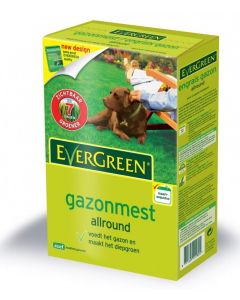 EVERGREEN GAZONMEST 1 KG 25M²