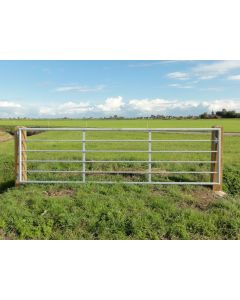 LANDHEKKEN 6 BUIS 125 CM HOOG DIVERSE LENGTES