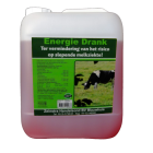 ENERGIE DRANK 10 KG (DITON)