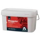 MAGGOTS 5 KG