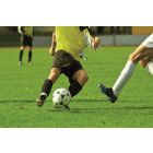 GRASZAAD SPORTVELD SV7 PER KG