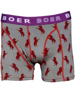 BOER BOER BOXERSHORT PAARD MT M