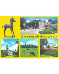 ANSICHTKAART DORP BLAUWHUIS