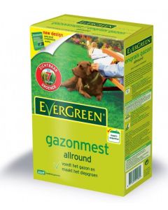 EVERGREEN GAZONMEST 1 KG 25M² 