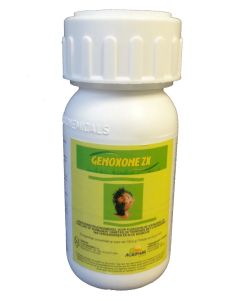 GENOXONE 250 ML 13497N