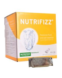 NUTRIFIZZ BRUISTABLET 42 TABS