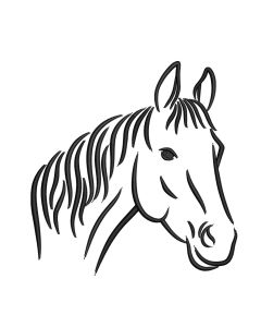 PAARDENBROK SPORTMIX & RECUPE + 20 KG