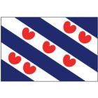 VLAG FRIESE 100 X 150 CM  