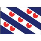 VLAG FRIESLAND 200 X 300 CM 