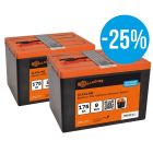 GALLAGHER BATTERIJ DUOPACK 2 X 175 AH 065073