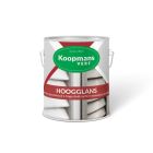 KOOPMANS HOOGGLANS VERF 250 CC DIVERSE KLEUREN