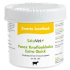 SALUVET PANAX KNOFLOOK BOLUS 6 STUKS