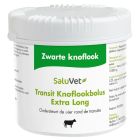 SALUVET TRANSIT KNOFLOOK BOLUS 6 STUKS