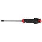 SCHROEVENDRAAIER TORX 10