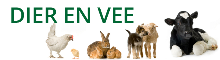 Dier & Vee Dier & Vee